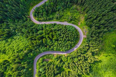 Yeşil ormandan ve dağdan geçen kırsal yolun havadan görünüşü.
