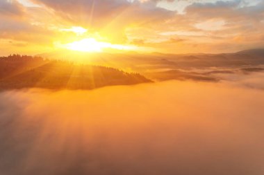 Yazın gün doğumunda bulutların içinde dağlar. Siste yeşil ağaçlar olan dağ zirvesinin havadan görünüşü. Yüksek kayalar, orman ve gökyüzü olan güzel bir manzara. Dağ vadisinin alçak bulutlu insansız hava aracı manzarası