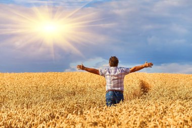 Mutlu çiftçi buğday tarlasında gururla duruyor. Agronomist şirket üniforması giyiyor, çiftlik arazisindeki kameralara bakıyor. Zengin ekili tahıl hasadı.