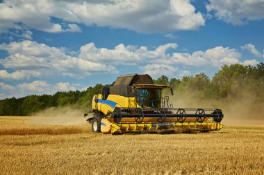 Combine harvester working on a wheat field. Seasonal harvesting the wheat. Agriculture.