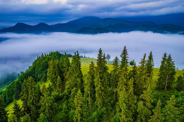 Mountains Clouds Sunrise Summer Aerial View Mountain Peak Green Trees — Stock Photo, Image