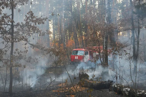 Woods Burning Fire Forest Very Scary — Foto de Stock