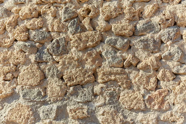 贝壳岩石纹理背景 背景为壳岩灰岩的结构 自然形态 — 图库照片
