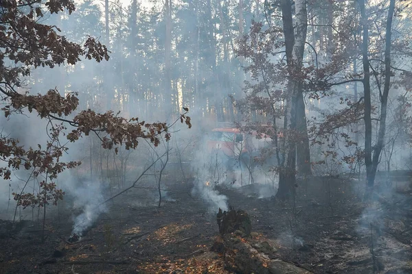 Woods Burning Fire Forest Very Scary — Stockfoto