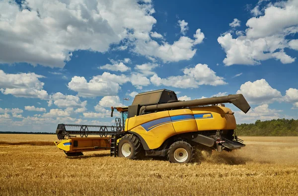 stock image Combine Harvester Cutting Wheat, Summer Landscape of endless Fields under blue sky with clouds