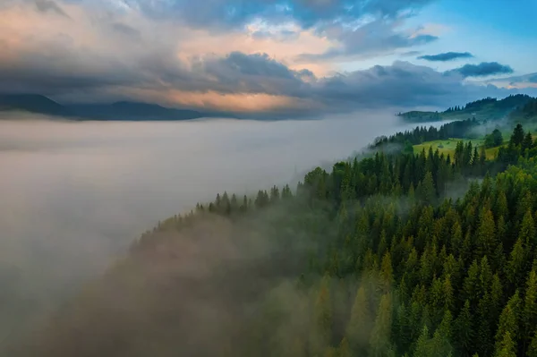 Пейзаж Туманом Горах Рядами Деревьев — стоковое фото