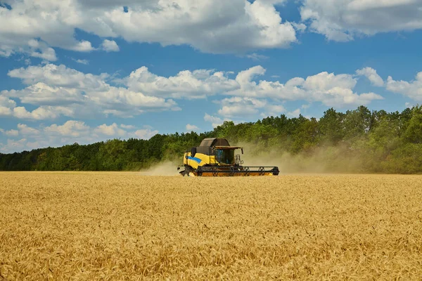 联合收割机收获成熟的小麦 农村生活 自由概念 — 图库照片