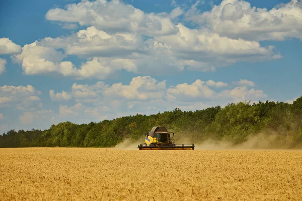 联合收割机收获成熟的小麦 农村生活 自由概念 — 图库照片