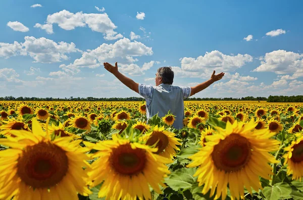 ひまわり畑でウクライナの農民を成功させました 老人は静かな空を背景に畑で立って笑っている ウクライナ — ストック写真
