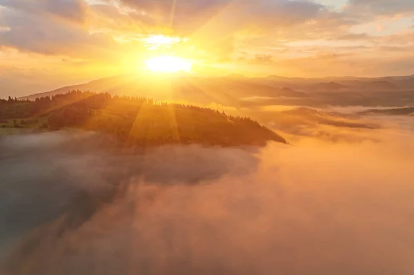 Berge Wolken Bei Sonnenaufgang Sommer Luftaufnahme Des Berggipfels Mit Grünen — Stockfoto