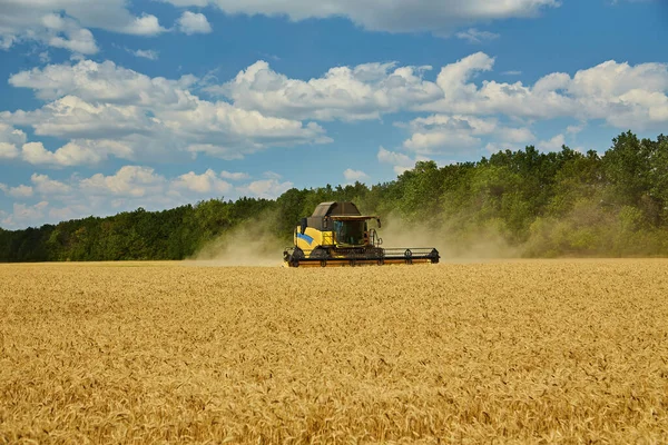 联合收割机切割小麦 蓝天下无边无际的田野与云的夏季景观 — 图库照片
