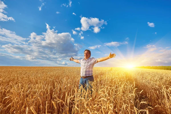 Happy Farmer Proudly Standing Wheat Field Agronomist Wearing Corporate Uniform — Stock Photo, Image