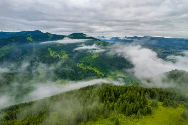 Nevoeiro Envolve Floresta Montanhosa Raios Sol Nascente Rompem Nevoeiro Vista — Fotografia de Stock