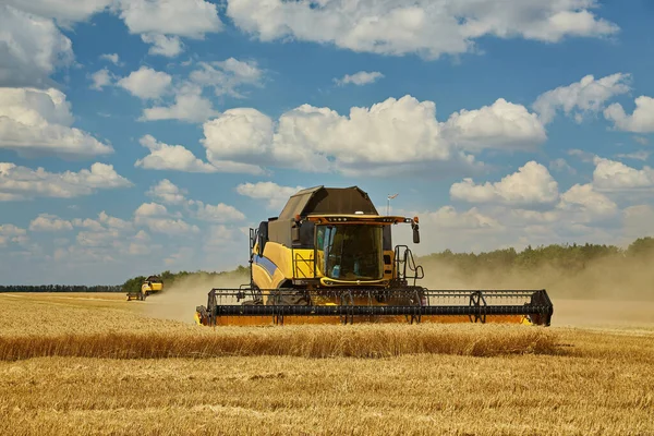 联合收割机在麦田上干活 季节性收获小麦 — 图库照片