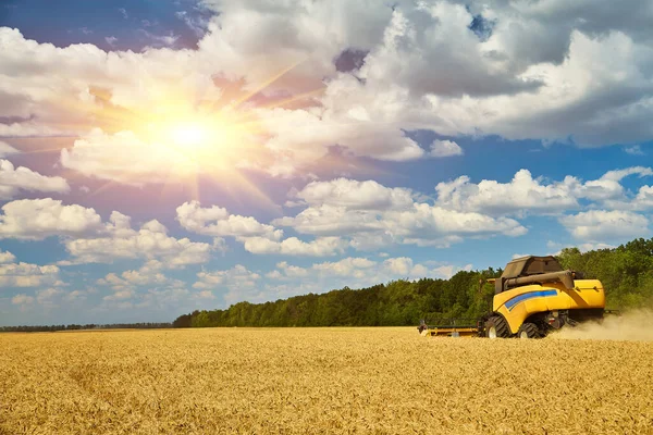 Kombinovat Kombajn Pracující Pšeničném Poli Sezónní Sklizeň Pšenice Zemědělství — Stock fotografie