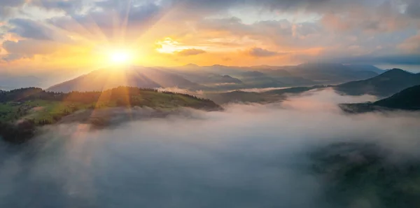 Landschaft Mit Nebel Bergen Und Baumreihen — Stockfoto