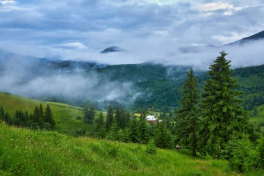 Sabah ışığında dağ çayırında. Çimenli tepenin arkasındaki ormanın arkasında sisli bir vadi ile ilkbahar manzarası. Parlak mavi gökyüzünde kabarık bulutlar. Doğa tazeliği kavramı