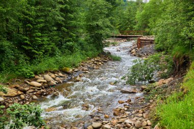Ormanın arka planında bir dağ nehrinin manzarası, bir tayga nehri, kıyılar boyunca bir çam ormanı, kanaldaki taşlar, bir dağ deresi, yaz sıcağı, biraz su.