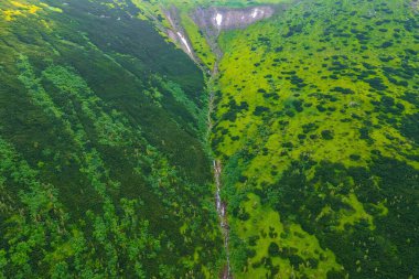 Karpat Dağları 'nın tepesinden akan küçük bir dere, İHA' nın genel görüntüsü. Yaz dağları