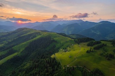 Alplerde yeşil çayırlar, çiçek açan çiçekler ve arka planda karla kaplı dağ tepeleri olan Idyllic manzarası.