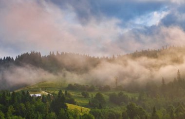 Dağlardaki soyut manzara, ormandaki sis...