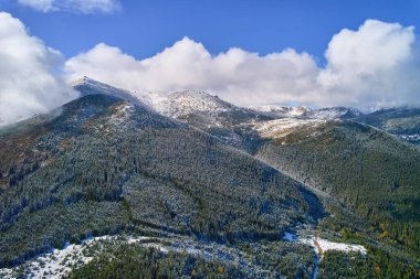 Sonbahar ormanlarına ilk kar yağdı. Sarı yaprakların altında soğuk bir fırtına. İHA 'yla kuş bakışı fotoğraf.