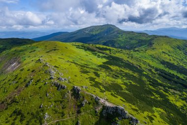 Alplerde yeşil çayırlar, çiçek açan çiçekler ve arka planda karla kaplı dağ tepeleri olan Idyllic manzarası.