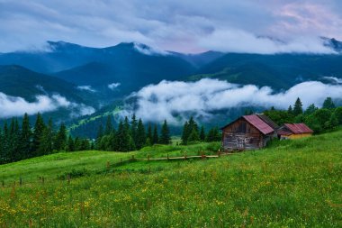 Sabah ışığında dağ çayırında. Çimenli tepenin arkasındaki ormanın arkasında sisli bir vadi ile ilkbahar manzarası. Parlak mavi gökyüzünde kabarık bulutlar. Doğa tazeliği kavramı