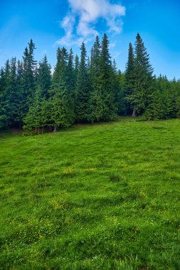 Dağlardaki yaz manzarası ve bulutlu koyu mavi gökyüzü.