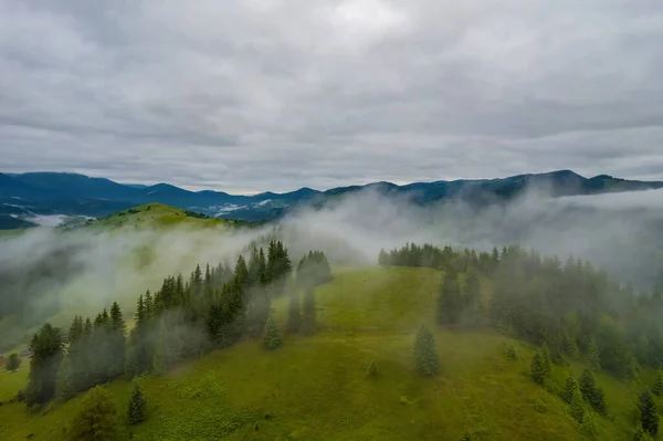 Пейзаж Туманом Горах Рядами Дерев — стокове фото