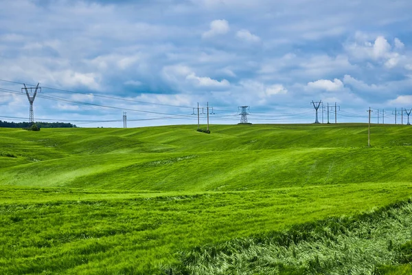 Електричні Полюси Зелених Полях Пшениці Вдень Перевезення Альтернативної Відновлюваної Електроенергії — стокове фото