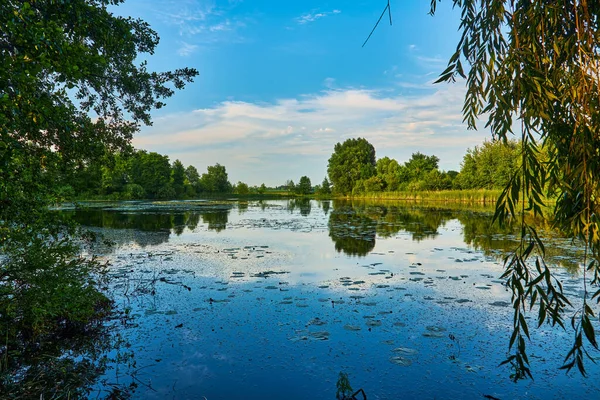 Живописный Вид Красивый Пейзаж Красивом Озере Красочный Закат Воде Зелеными — стоковое фото