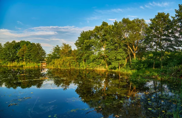 Живописный Вид Красивый Пейзаж Красивом Озере Красочный Закат Воде Зелеными — стоковое фото