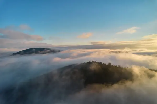 夏天日出时分 云中的群山 空中俯瞰着多雾绿树的山顶 美丽的风景 天空高耸 从低云中的山谷无人机俯瞰 — 图库照片