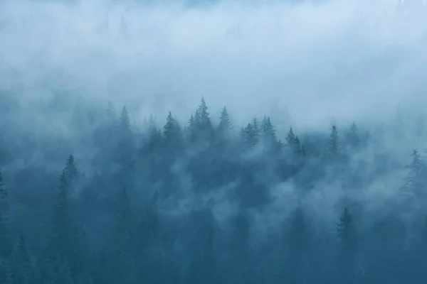 Αφηρημένο Τοπίο Στα Βουνά Ομίχλη Στο Δάσος — Φωτογραφία Αρχείου