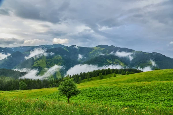 Majestatyczny Krajobraz Gór Pod Rannym Niebem Chmurami Chmury Przed Burzą — Zdjęcie stockowe