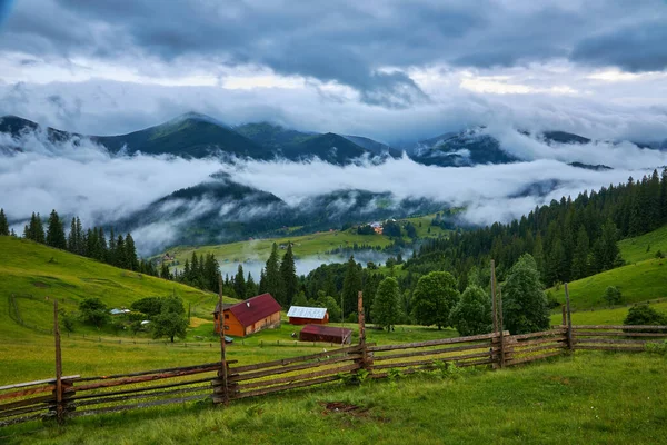 Idylliczny Krajobraz Alpach Świeżymi Zielonymi Łąkami Kwitnącymi Kwiatami Pokrytymi Śniegiem — Zdjęcie stockowe