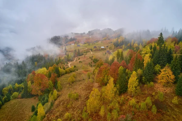 Aerial drone view over autumn forest. Colorful trees in the wood. Autumn background, aerial drone view of beautiful forest landscape with autumn trees from above.