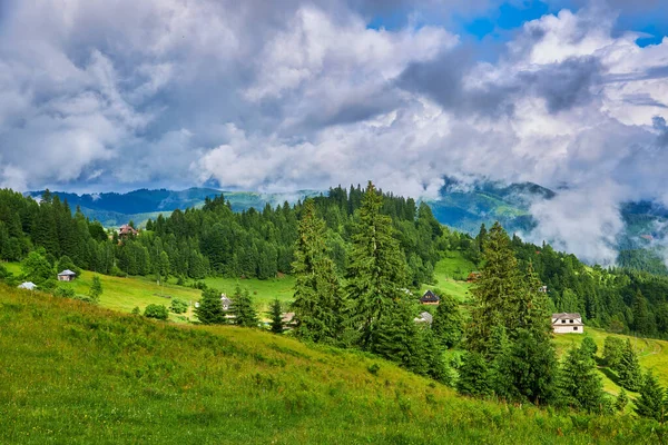 Idyllisch Landschap Alpen Met Frisse Groene Weiden Bloeiende Bloemen Besneeuwde — Stockfoto