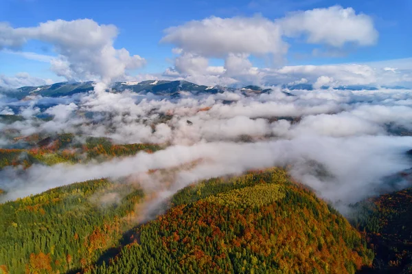 Aerial drone view over autumn forest. Colorful trees in the wood. Autumn background, aerial drone view of beautiful forest landscape with autumn trees from above.