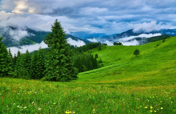 山中的夏日风景 乌云密布的深蓝色天空 — 图库照片