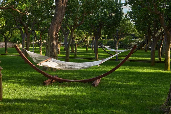 Beautiful landscape with hammock in the summer garden, sunny day. Selective focus