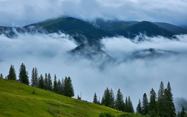 Абстрактний Пейзаж Горах Туманом Лісі — стокове фото