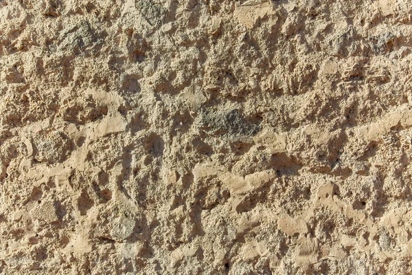 조개껍데기의 석회암 배경을 이루고 자연적 — 스톡 사진