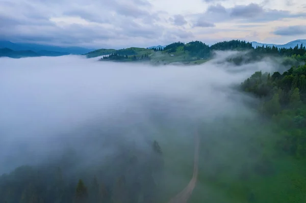 Peaceful scene of misty mountains. Location place of Carpathians mountains, Ukraine, Europe. Aerial photography, top view drone shot. Discover the beauty of earth.