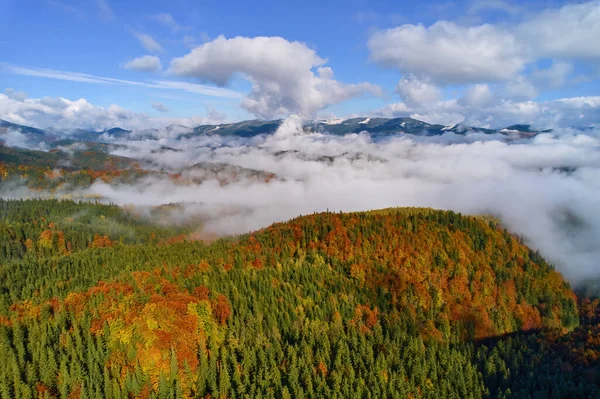 Bergen Wolken Bij Zonsopgang Zomer Luchtfoto Van Bergtop Met Groene — Stockfoto
