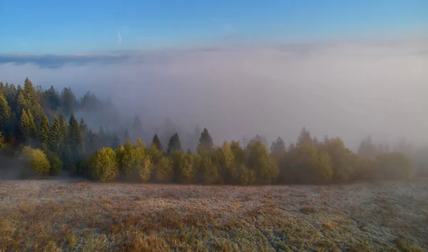 Рассвете Над Горами Распространяется Туман Солнце Встает Горизонте Украинские Карпаты — стоковое фото