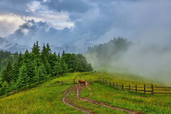 Sommerlandschaft Den Bergen Und Der Dunkelblaue Himmel Mit Wolken — Stockfoto