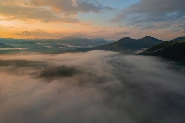 Пейзаж Туманом Горах Рядами Деревьев — стоковое фото