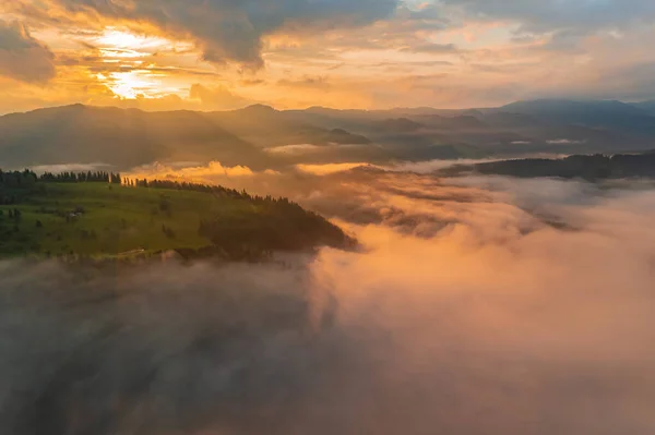 Nebel Hüllt Den Bergwald Ein Die Strahlen Der Aufgehenden Sonne — Stockfoto